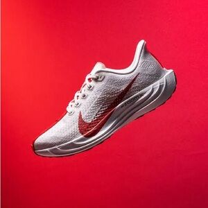 Nike Men’s ZoomX Pegasus Plus Running Shoes Platinum Tint/Red FQ7262-003